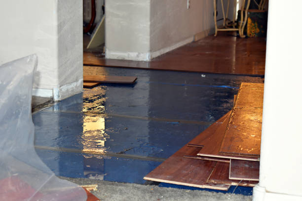 Professional Flood Cleanup technician working in Dunlap, CA